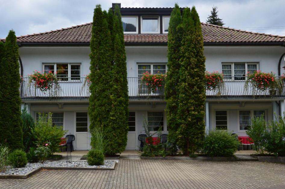 Gaestehaus Schoenwaelder ボイロン エクステリア 写真